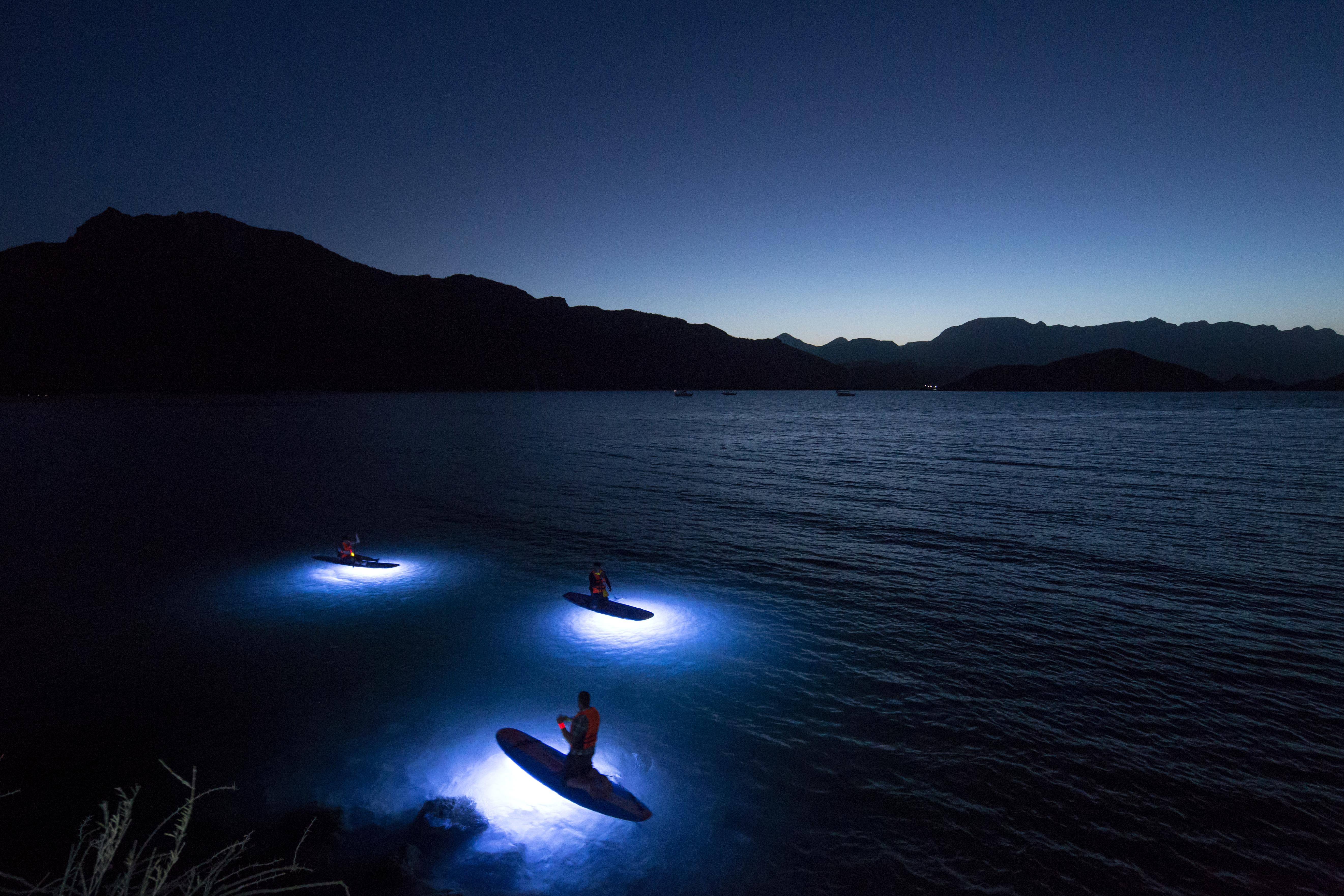 Villa Del Palmar At The Islands Of Loreto Лорето Екстер'єр фото