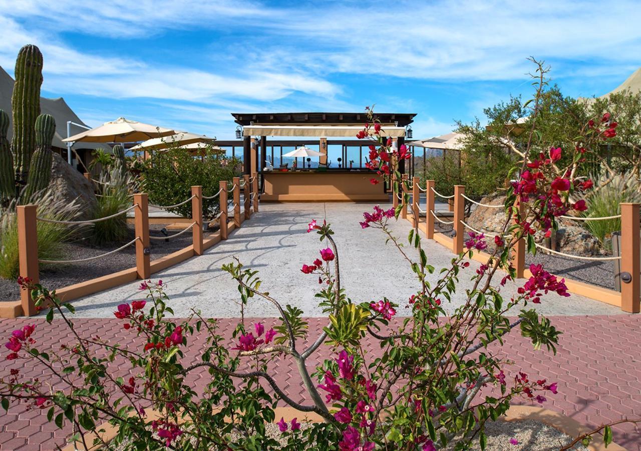Villa Del Palmar At The Islands Of Loreto Лорето Екстер'єр фото